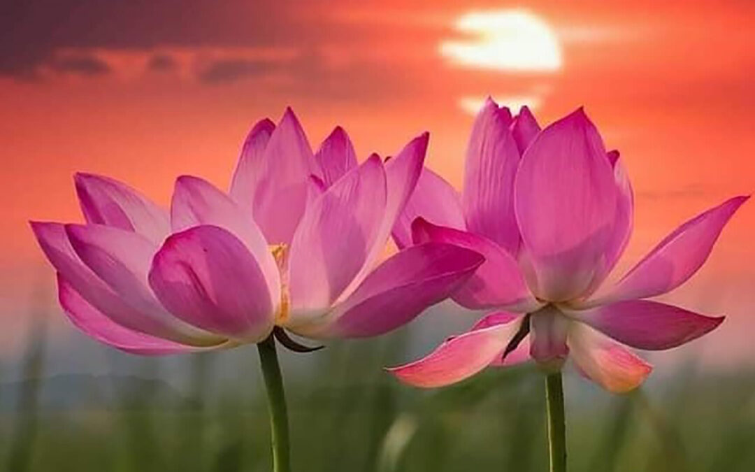 Encuentros “La esencia de la realización del Ser”