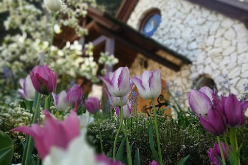 Permanece Atento a los Momentos