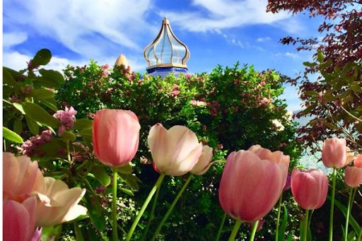 Planificación para tu Próxima Encarnación